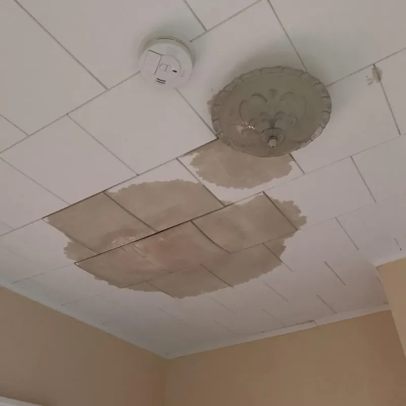 Ceiling Water Damage Repair in Butler, PA