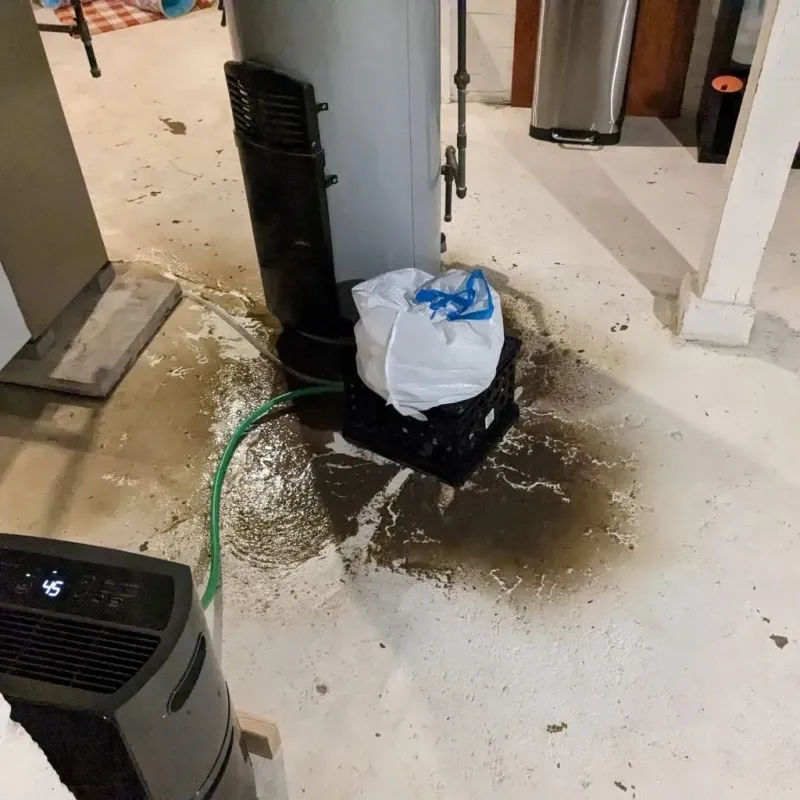 Sewage Backup Cleanup Service in Butler, PA